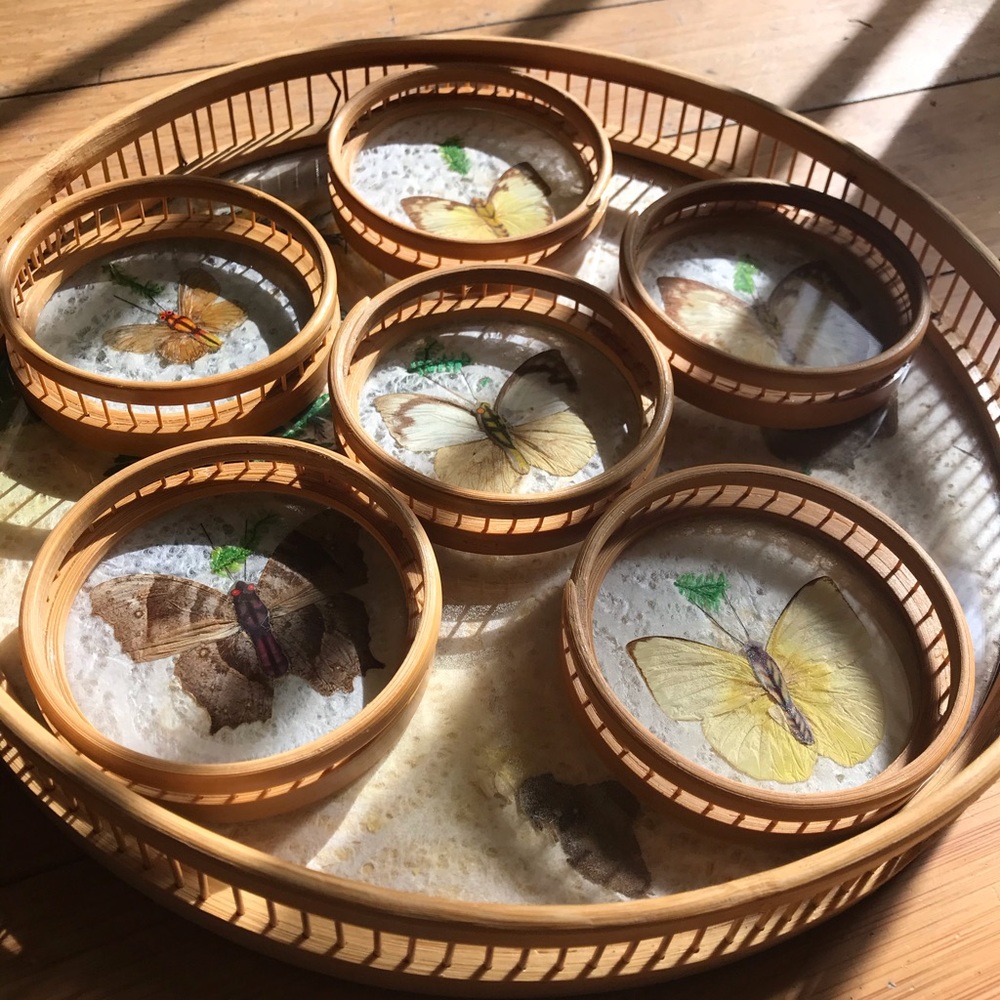 Vintage Butterfly tray with coasters